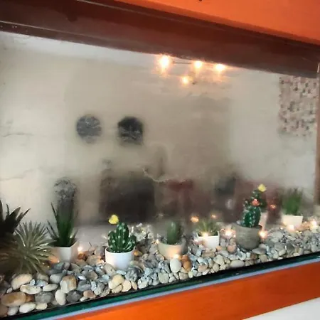 & Sasa Πανσιόν Podčetrtek