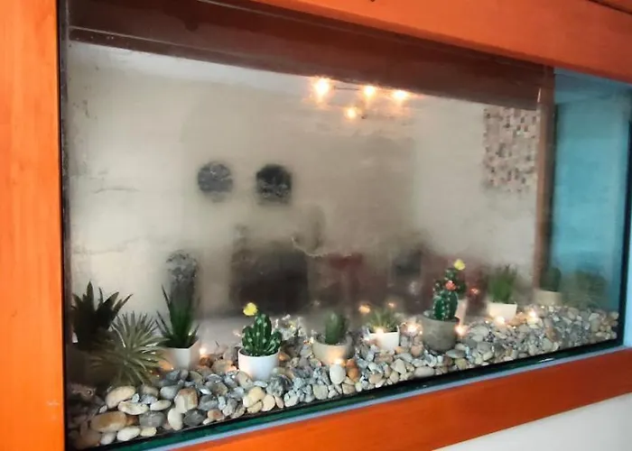 & Sasa بيت ضيافة بوتْشيترتيك