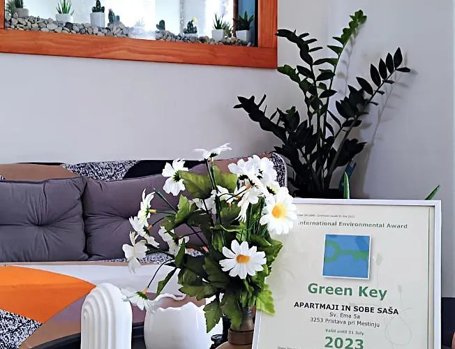 بيت ضيافة & Sasa بوتْشيترتيك