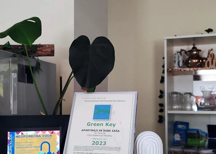 بيت ضيافة & Sasa بوتْشيترتيك